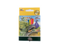 Pack Wood Colors Colours of Nature Short (12 Color)